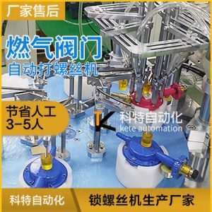 燃?xì)忾y門多頭自動(dòng)上螺絲機(jī) 多工位高效率螺絲機(jī)視頻案例